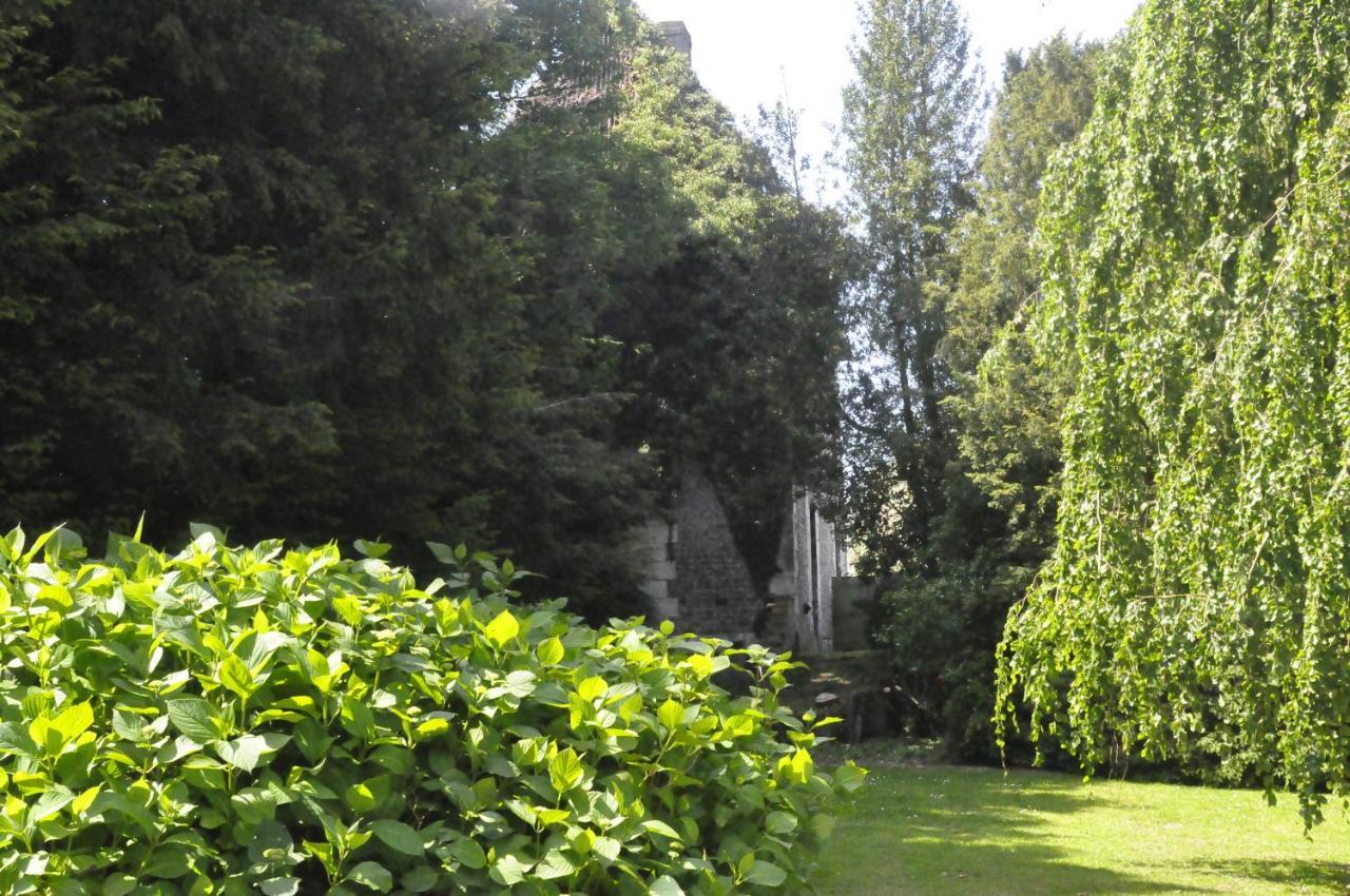 Chateau De St Sauveur D'Emalleville Émalleville Exterior foto